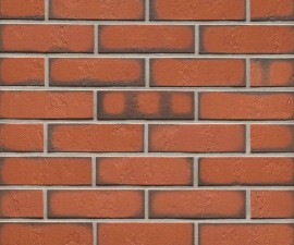 "Feldhaus Klinker" klinkerinės plytelės R719